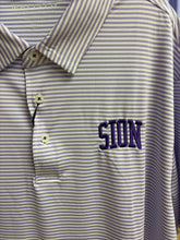 Load image into Gallery viewer, Men’s Striped Polo
