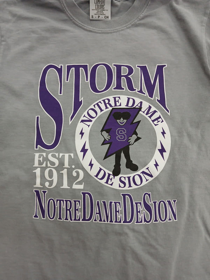 Vintage Gray Storm t-shirt